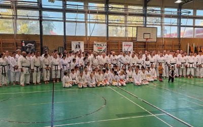 Dr. Ilija Jorga Seminar – Hungary 2024